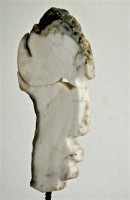 /album/galerie-3/p1020425-jpg/
